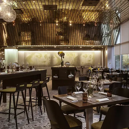 Renaissance Ντίσελντορφ